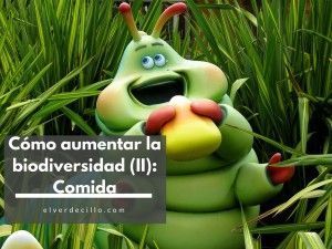 elverdecillo.com