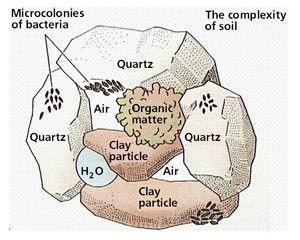 complexity-of-soil