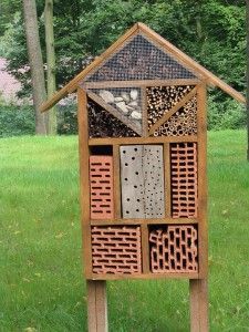 insect-house-1085197_960_720