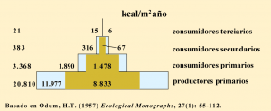 Piramide_energia