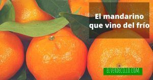 elverdecillo.com (2)